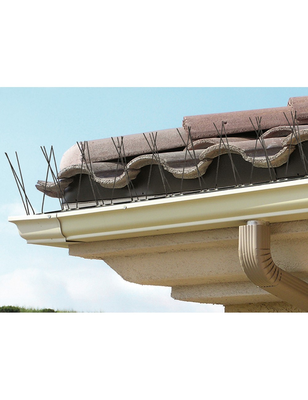 Varilla disuasoria para aves, anti palomas, acero inoxidable 100 x 2,5 x 11 cm