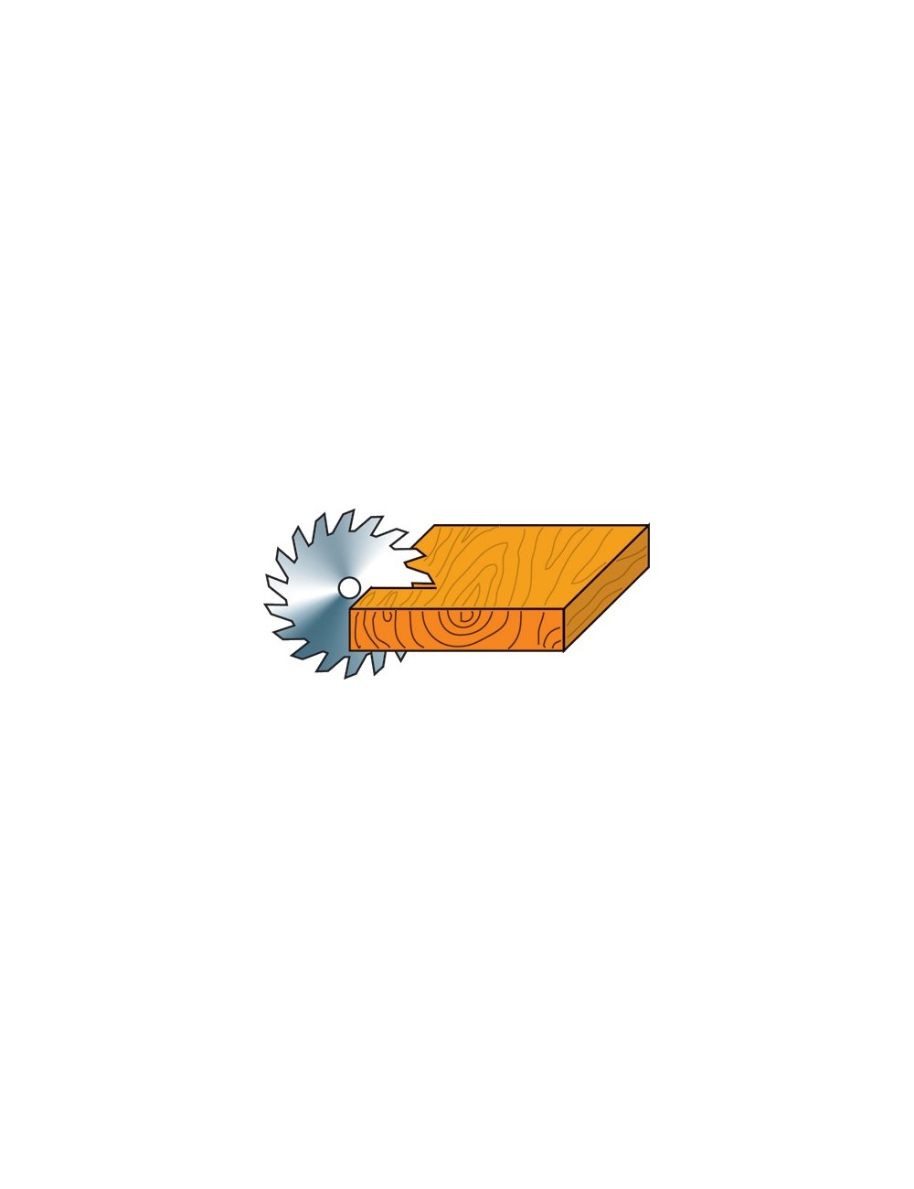 HM-Präzisionssägeb Ø 315mm Z48