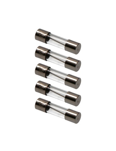 Fusible 5 x 20 mm 10 a, envasado 5 uds