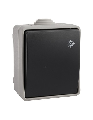 Interruptor estanco ip44 16 a 250 v