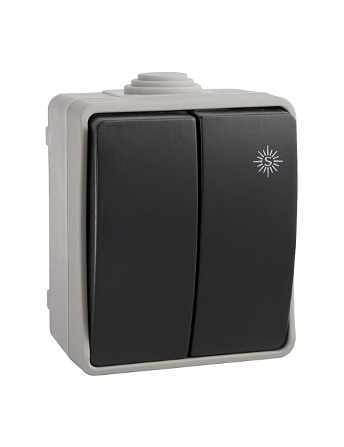 Doble conmutador estanco 10 ax 250v~. ip54