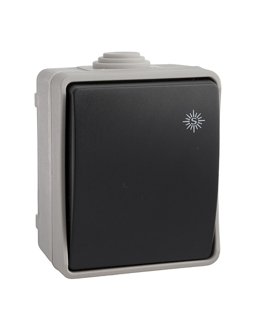 Conmutador/interruptor estanco 10 ax 250 v~ip54