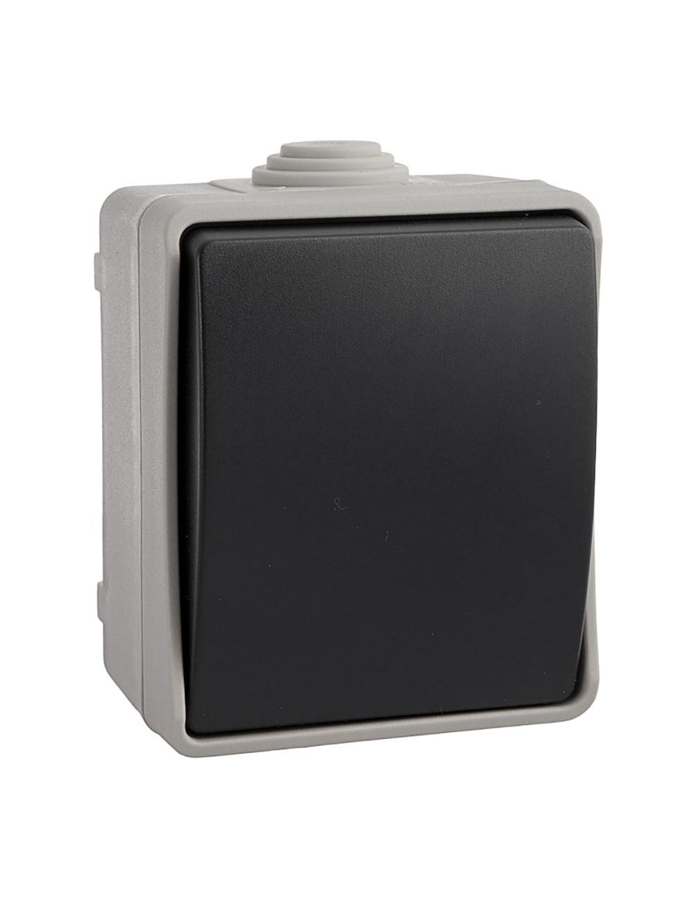 Pulsador estanco ip44 10 a 250 v~