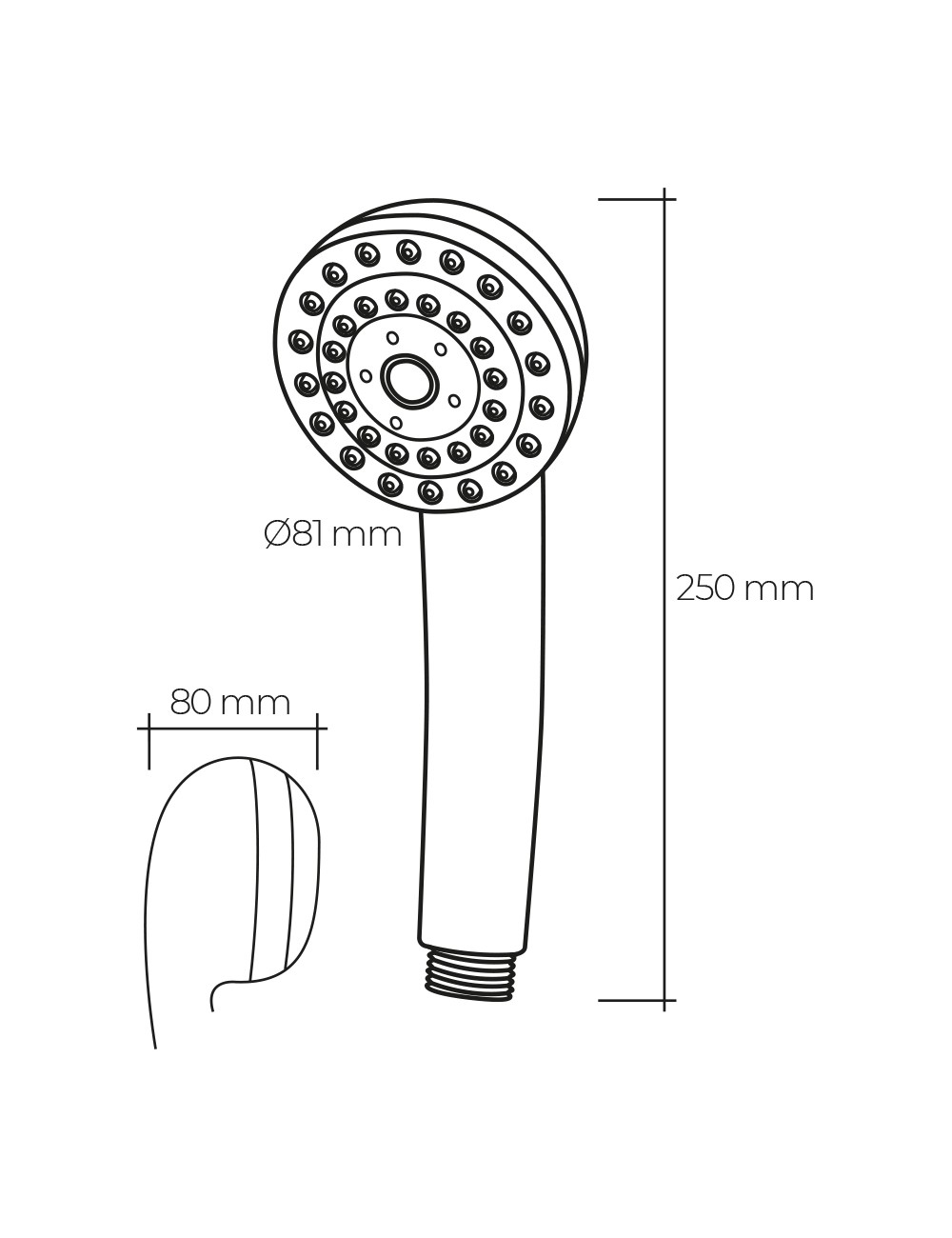 Mango de ducha anticalcareo clasico 5 funciones color cromo