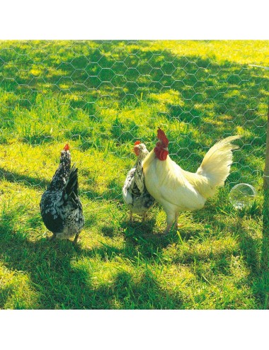 Malla metalica de triple torsion galvanizada cuadro: 19x0,7mm / 0,5x10m