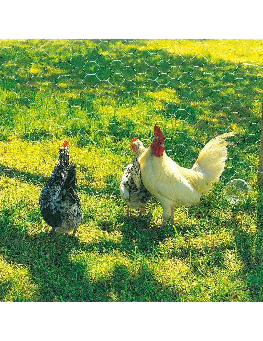 Malla metalica de triple torsion galvanizada cuadro: 19x0,7mm / 0,5x10m