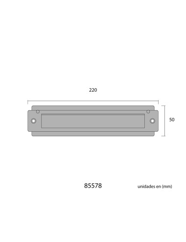 Placa de cartas para puerta de acero inoxidable 21,5 x 5 cm