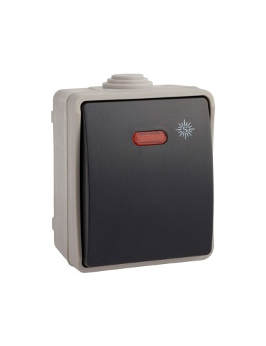 Conmutador luminoso estanco ip54 (retractilado)
