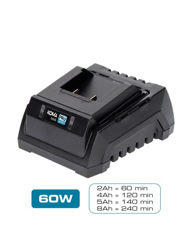 Cargador de bateria 20 v 60 w