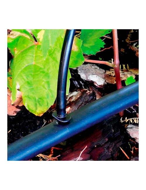 Pack con 10 uniones 4mm blue bird