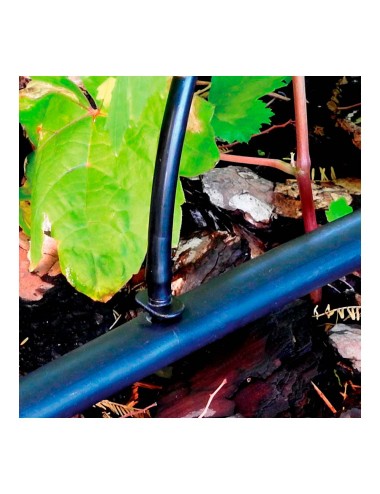 Pack con 25 uniones 4mm blue bird