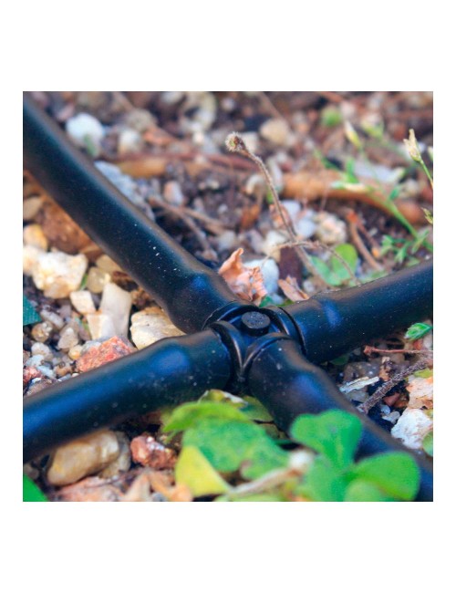 Pack con 10 cruces 4mm blue bird