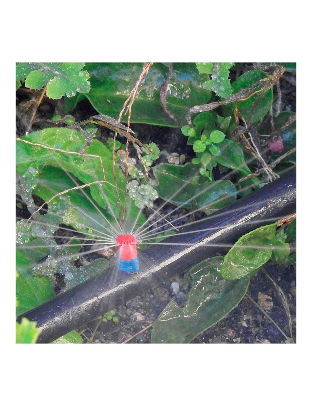 Pack con 10 maxi jets 360° blue bird