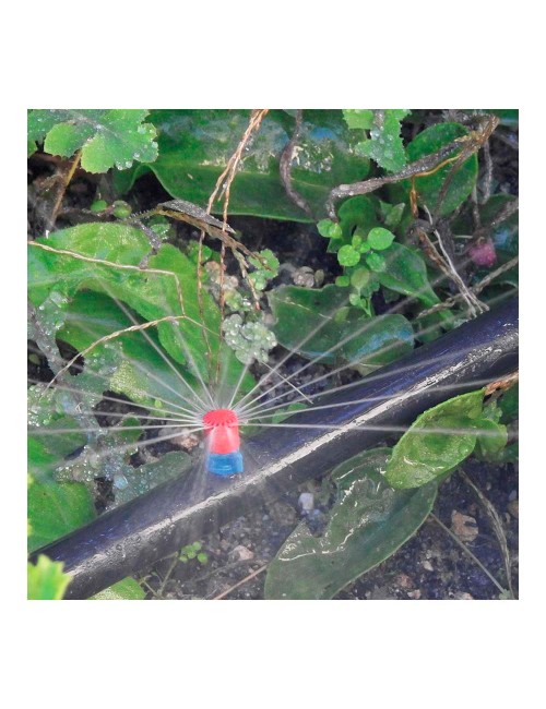 Pack con 10 maxi jets 360° blue bird