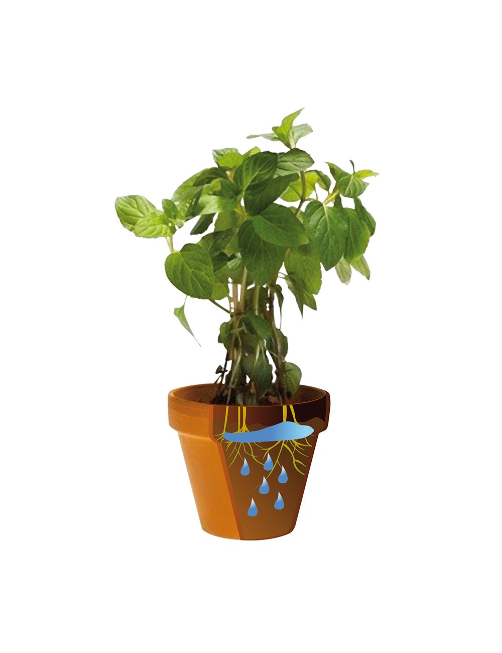 Biogel ecologico 400ml aqua control