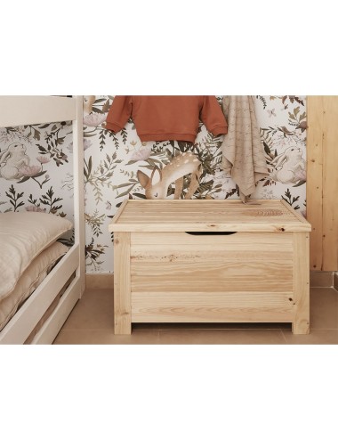 Baul de pino 70 x 48 x 40 cm