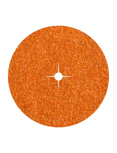 Discos de papel abrasivo de corindón ø125 mm, grano 80, pack 10 uds