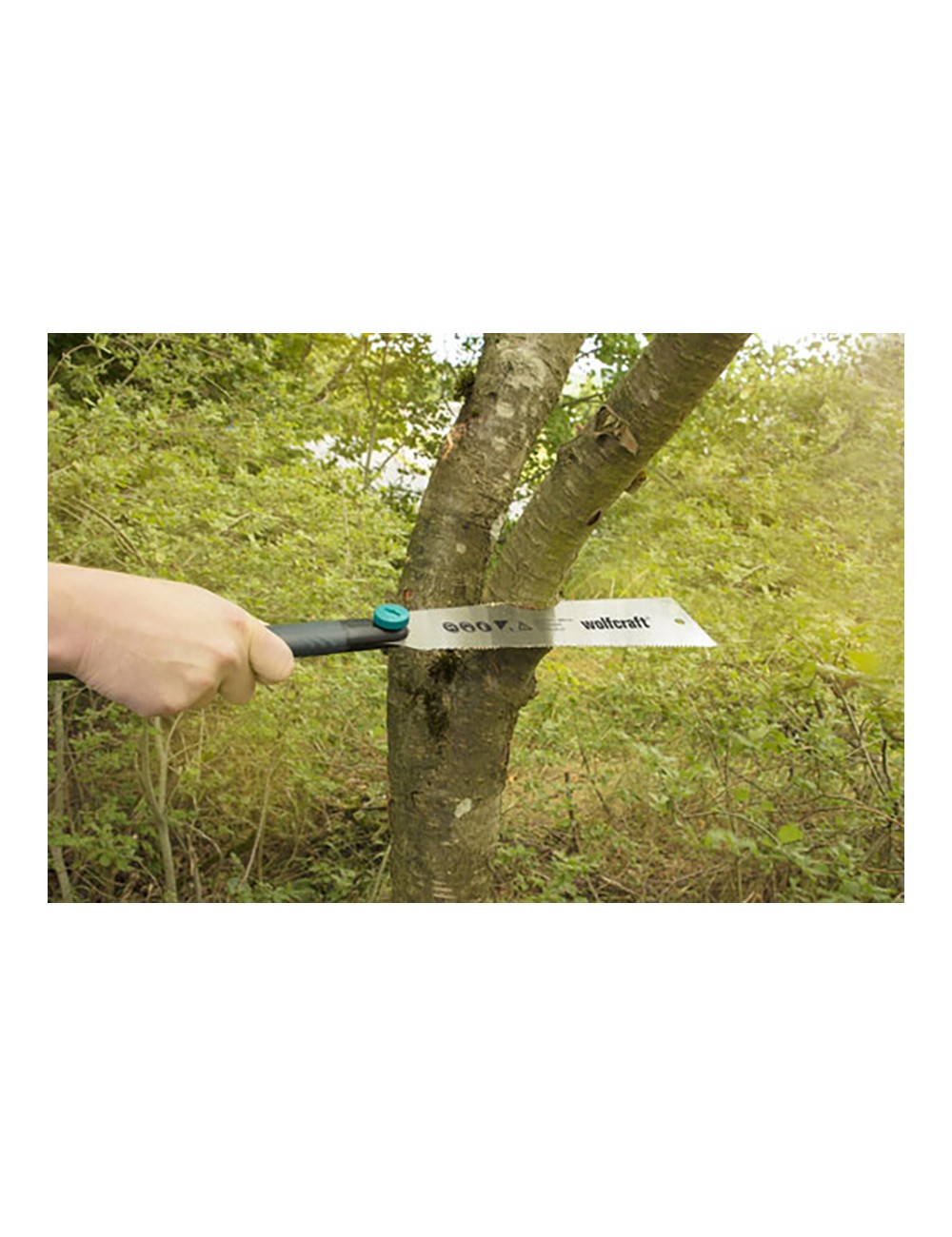 Sierra japonesa 240 mm