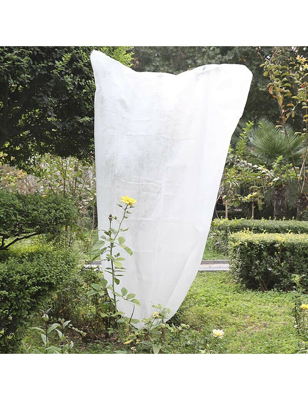 Capuchas de protección de plantas ø1,5 x 1,8 m, 2 unidades