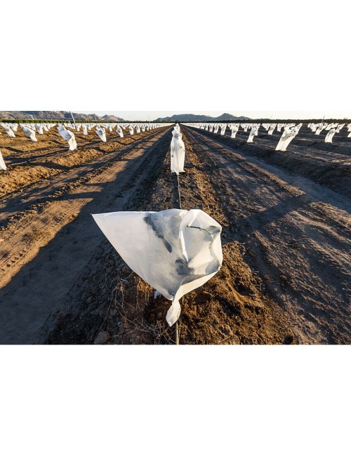 Capuchas de protección de plantas ø1,5 x 1,8 m