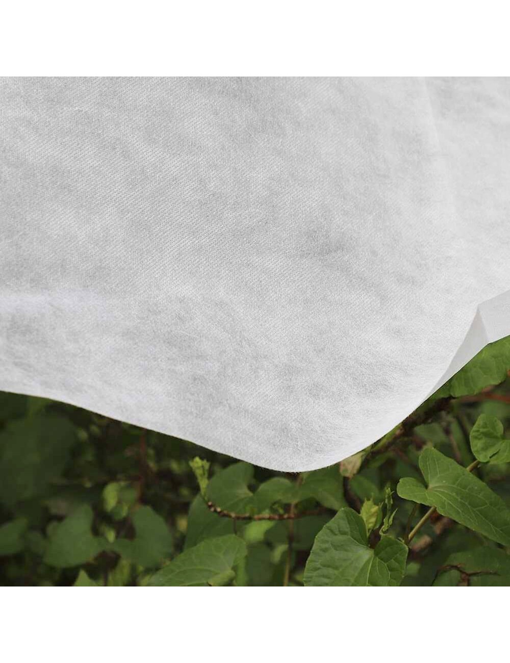 Tela de protección para cultivos 2 x 10 m 17gr/m