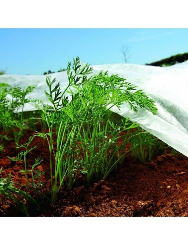 Tela de protección para cultivos-bobina 2 x 20 m 30gr/m