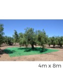 Manto para recolecta de frutos 4 x 8 m color verde