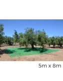 Manto para recolecta de frutos 5x8m color verde
