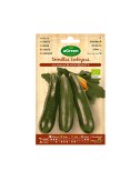 Sobre con semillas eco de calabacin black beauty agreen