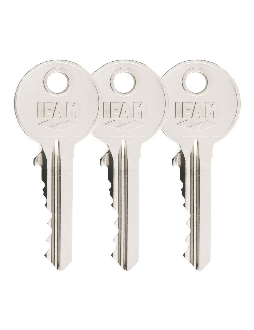 Cerrojo b5/50. acabado latonado. con 3 llaves de serreta. ifam