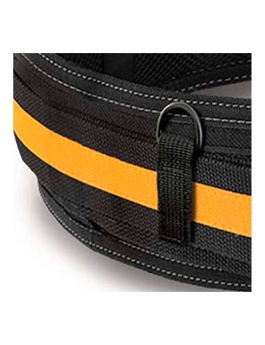 Cinturón acolchado padded hebilla heavy duty