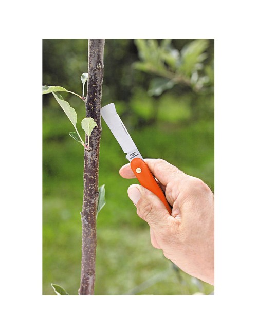 Navaja de injertar 55 mm, mango de plástico, con levanta corteza