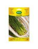 Sobre con semillas de cebollino anual 000239bolsh agreen