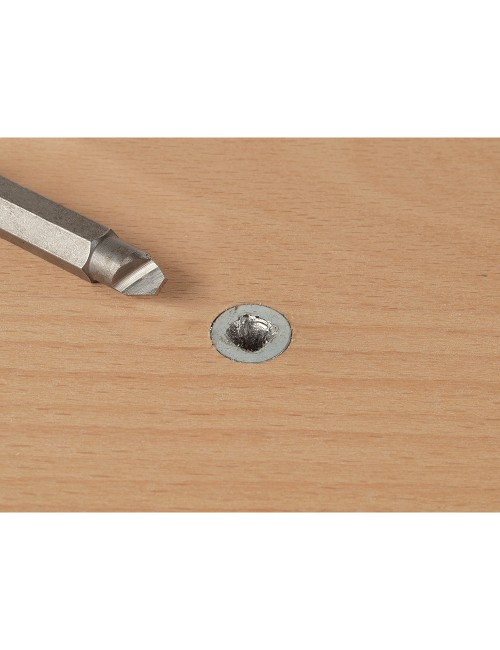 Pack de 2 puntas tornillos defectuosos con cabeza especial 2982000 wolfcraft