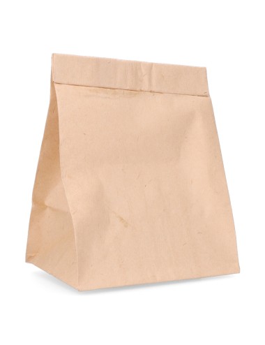 Bolsa de recambio para aspirador taurus