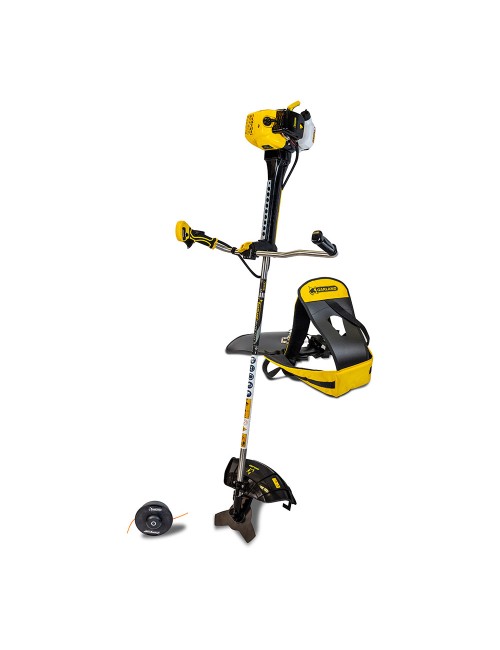 Blister 2 unid. de bujías 4t (rj19lm) 7101000200 garland