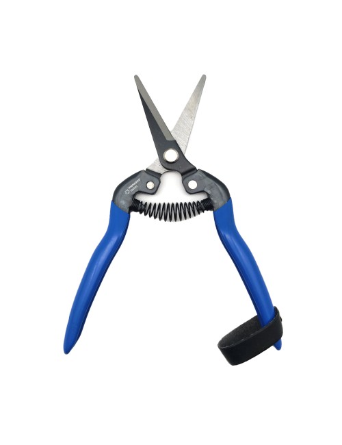 Tijera para la cosecha de fruta y verdura tico-m110c manzana nules