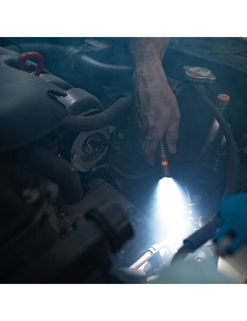 Linterna torchy 2k. compacta recargable por la compra de 6 unidades un expositor de regalo