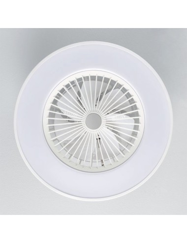 Ventilador amigo 42 w+20 w blanco philips