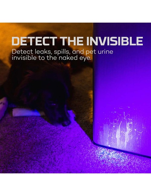 Linterna torchy uv - luz ultravioleta