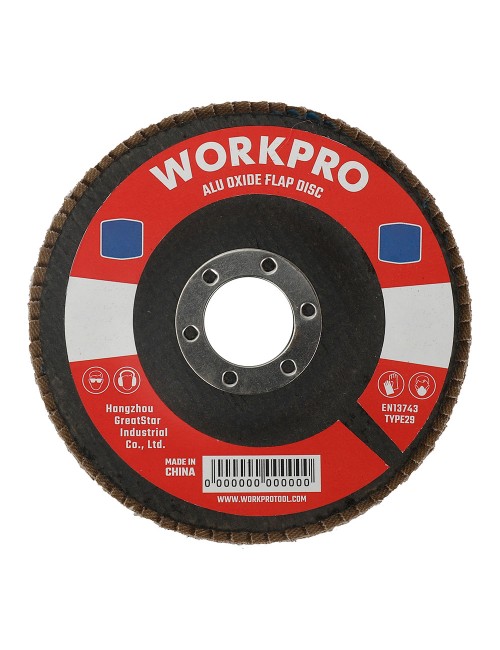 Disco láminas plano ø100 x 16 mm 40 g