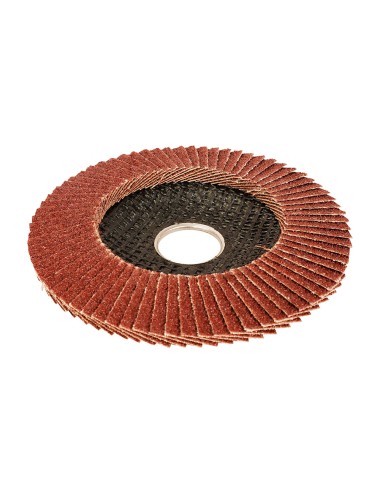 Disco láminas convexo ø115 x 22,2 mm 80 g