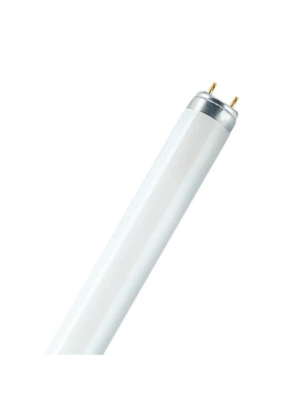 Tubo fluorescente 36 w 6500 k 3150 lm t8 120 cm g13 luz fria