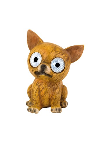 Perro luz solar, modelos variados