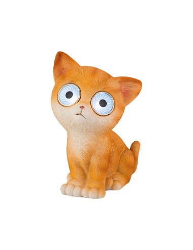 Gato luz solar, modelos variados