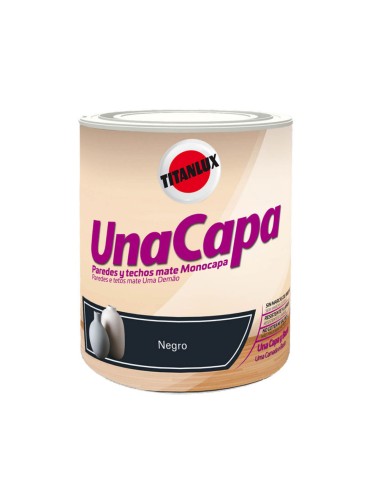 Pintura plástica vinil-acrílica interior lavable una capa piedra negro 750 ml