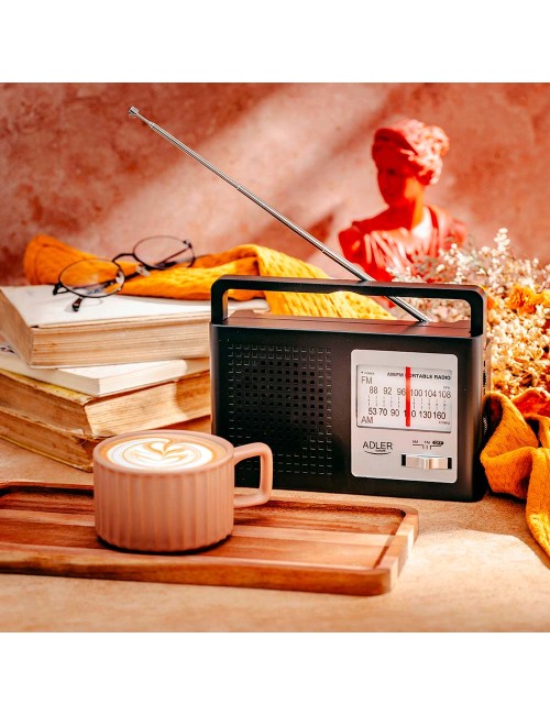Radio am/fm ad 1909, 15,5 x 21 x 6 cm