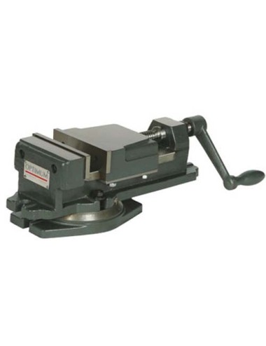 Mordaza de Precisión FMS 100