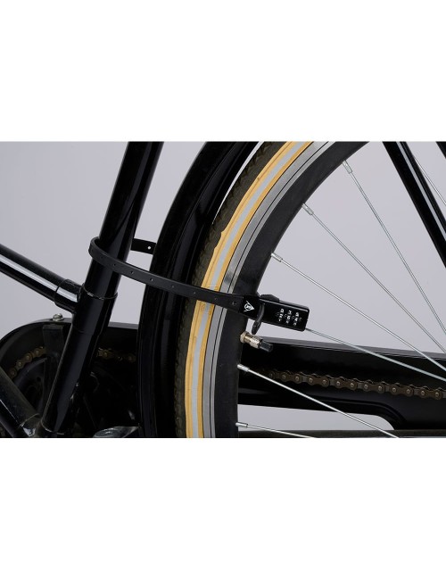 Candado con combinación 53 x 1 x 0,3 cm