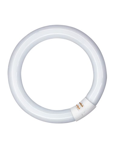 Tubo fluorescente circular 32w, g10q, 6500 k luz fria ø300 mm